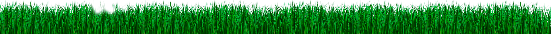 footer_grass